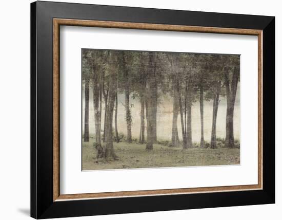 Forest-Erin Clark-Framed Art Print