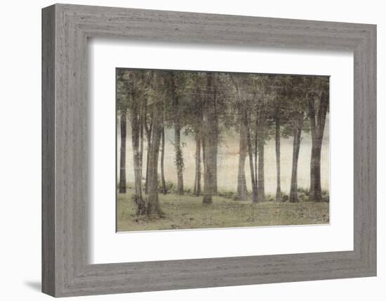 Forest-Erin Clark-Framed Art Print