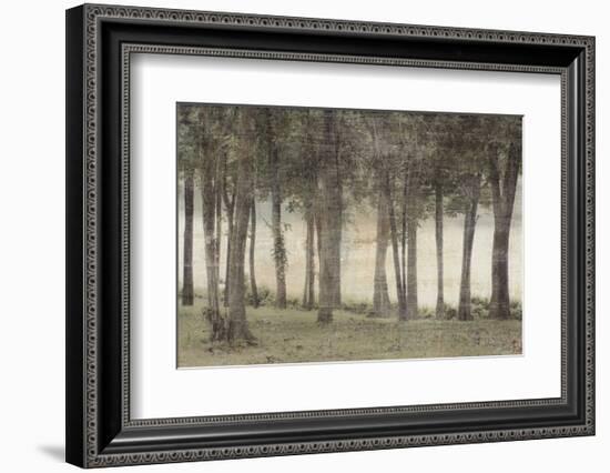 Forest-Erin Clark-Framed Art Print