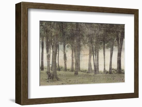 Forest-Erin Clark-Framed Art Print