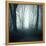 Forest-Mark Ashkenazi-Framed Premier Image Canvas