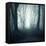 Forest-Mark Ashkenazi-Framed Premier Image Canvas