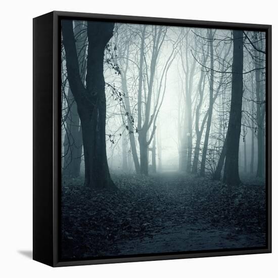 Forest-Mark Ashkenazi-Framed Premier Image Canvas