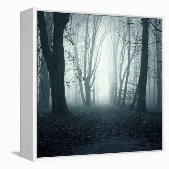 Forest-Mark Ashkenazi-Framed Premier Image Canvas