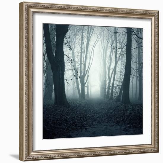 Forest-Mark Ashkenazi-Framed Giclee Print