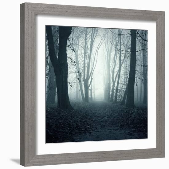 Forest-Mark Ashkenazi-Framed Giclee Print