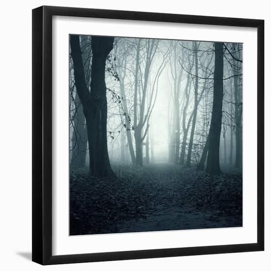 Forest-Mark Ashkenazi-Framed Giclee Print