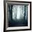 Forest-Mark Ashkenazi-Framed Giclee Print