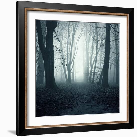 Forest-Mark Ashkenazi-Framed Giclee Print