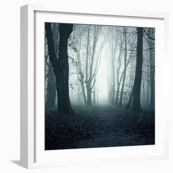 Forest-Mark Ashkenazi-Framed Giclee Print