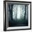 Forest-Mark Ashkenazi-Framed Giclee Print