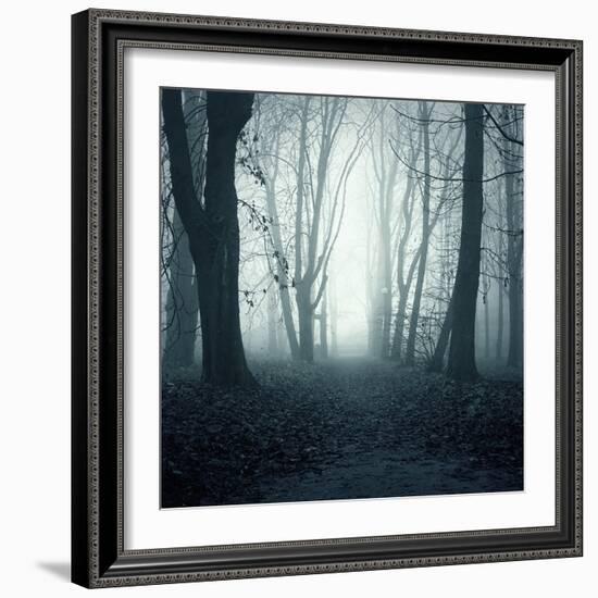 Forest-Mark Ashkenazi-Framed Giclee Print