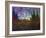 Forest-Joseph Marshal Foster-Framed Art Print