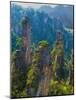 Forested Sandstone Pinnacles, Zhangjiajie National Forest Park, Hunnan, China-Charles Crust-Mounted Photographic Print