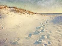 Inviting Boardwalk through the Sand Dunes on a Beautiful Beach in the Early Morning. Beautiful Puff-forestpath-Photographic Print