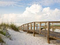 Beautiful Beach at Sunrise-forestpath-Framed Premier Image Canvas