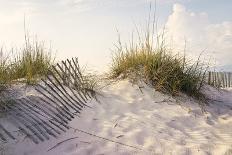 Footprints in the Sand at Sunset in the Dunes of Pensacola Beach, Florida.-forestpath-Photographic Print