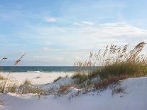 Golden Sea Oats Waving in the Breach on a Pristine Beach in Pensacola, Florida-forestpath-Photographic Print