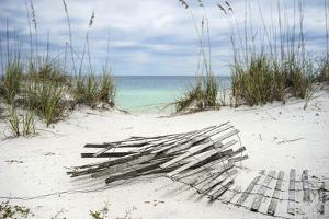 Sand Fence and Sea Oats at Florida Beach by forestpath