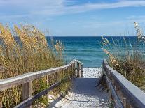 Sandy Boardwalk Path to a Snow White Beach on the Gulf of Mexico with Ripe Sea Oats in the Dunes-forestpath-Photographic Print