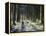 Forestry Commission Plantation, Sousons, Dartmoor, Devon, England, United Kingdom, Europe-David Lomax-Framed Premier Image Canvas