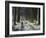 Forestry Commission Plantation, Sousons, Dartmoor, Devon, England, United Kingdom, Europe-David Lomax-Framed Photographic Print