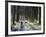 Forestry Commission Plantation, Sousons, Dartmoor, Devon, England, United Kingdom, Europe-David Lomax-Framed Photographic Print