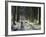 Forestry Commission Plantation, Sousons, Dartmoor, Devon, England, United Kingdom, Europe-David Lomax-Framed Photographic Print