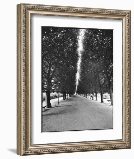 Forêt Longue-A^J^ Casson-Framed Giclee Print