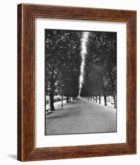 Forêt Longue-A^J^ Casson-Framed Giclee Print