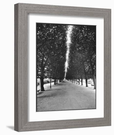 Forêt Longue-A^J^ Casson-Framed Giclee Print