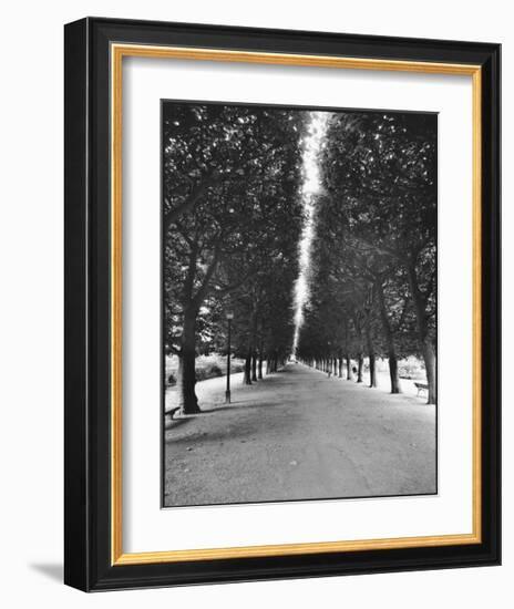 Forêt Longue-A^J^ Casson-Framed Giclee Print