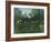 Foret Vierge au Soleil Couchant-Henri Rousseau-Framed Giclee Print