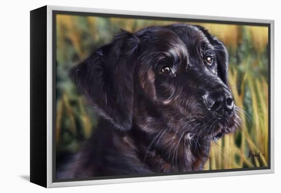 Forever Faithful-Jenny Newland-Framed Premier Image Canvas