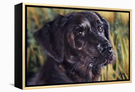 Forever Faithful-Jenny Newland-Framed Premier Image Canvas