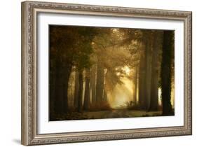 Forever Forest-Ellen Borggreve-Framed Photographic Print