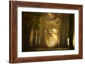 Forever Forest-Ellen Borggreve-Framed Photographic Print