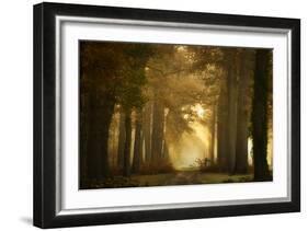 Forever Forest-Ellen Borggreve-Framed Photographic Print