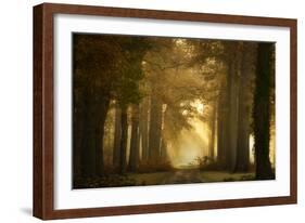 Forever Forest-Ellen Borggreve-Framed Photographic Print