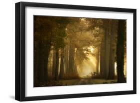 Forever Forest-Ellen Borggreve-Framed Photographic Print