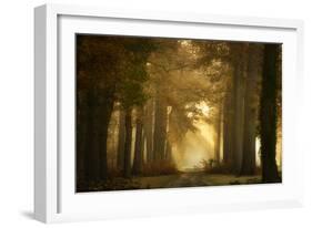 Forever Forest-Ellen Borggreve-Framed Photographic Print