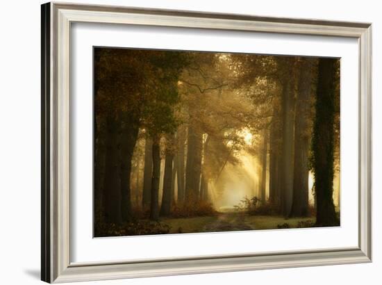 Forever Forest-Ellen Borggreve-Framed Photographic Print
