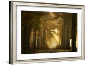 Forever Forest-Ellen Borggreve-Framed Photographic Print