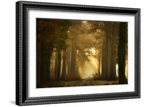 Forever Forest-Ellen Borggreve-Framed Photographic Print