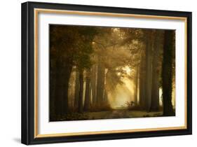 Forever Forest-Ellen Borggreve-Framed Photographic Print