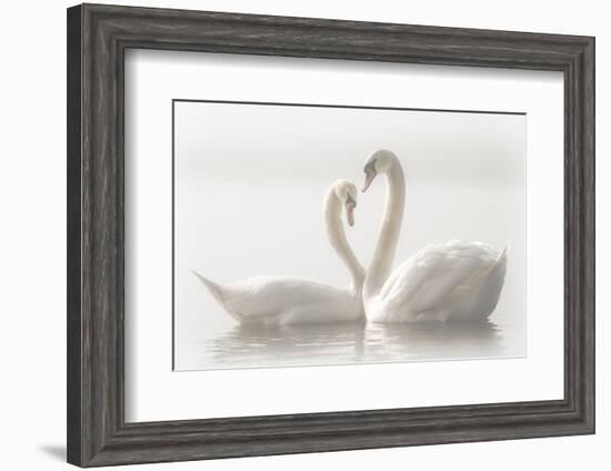 Forever-Monika Schwager-Framed Photographic Print