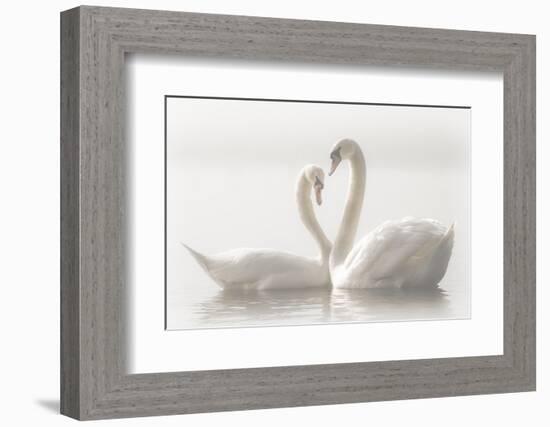 Forever-Monika Schwager-Framed Photographic Print