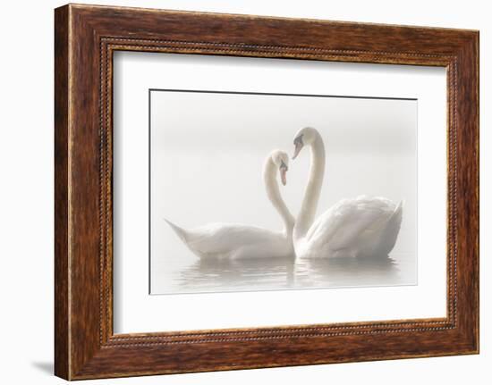 Forever-Monika Schwager-Framed Photographic Print