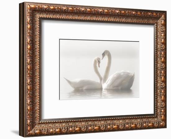 Forever-Monika Schwager-Framed Photographic Print