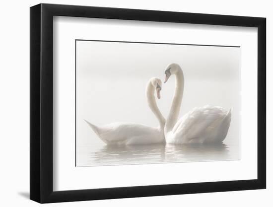 Forever-Monika Schwager-Framed Photographic Print